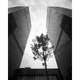 Illustration for article titled Trove of Architectural Photos Shows When LAs Skyline Became Modern
